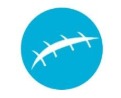 Icon 1